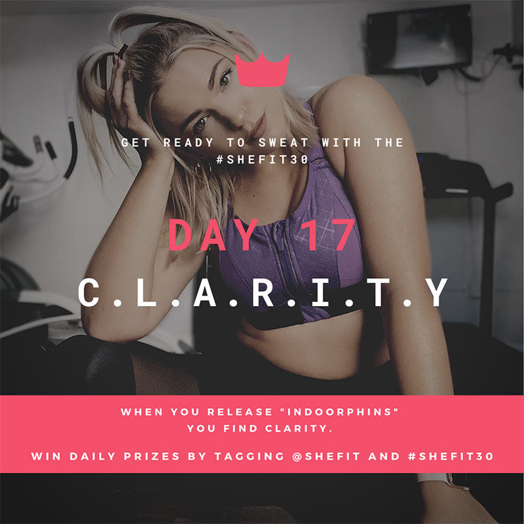 DAY 17 C.L.A.R.I.T.Y