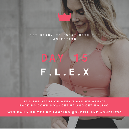 DAY 15 F.L.E.X