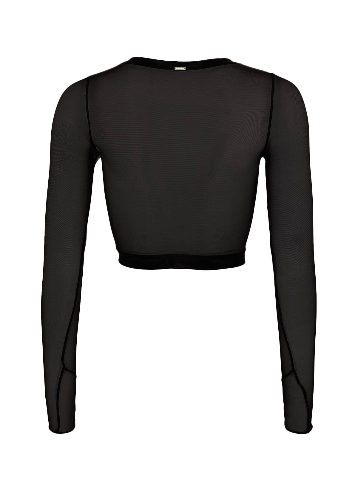 Long Sleeves Cropped Top